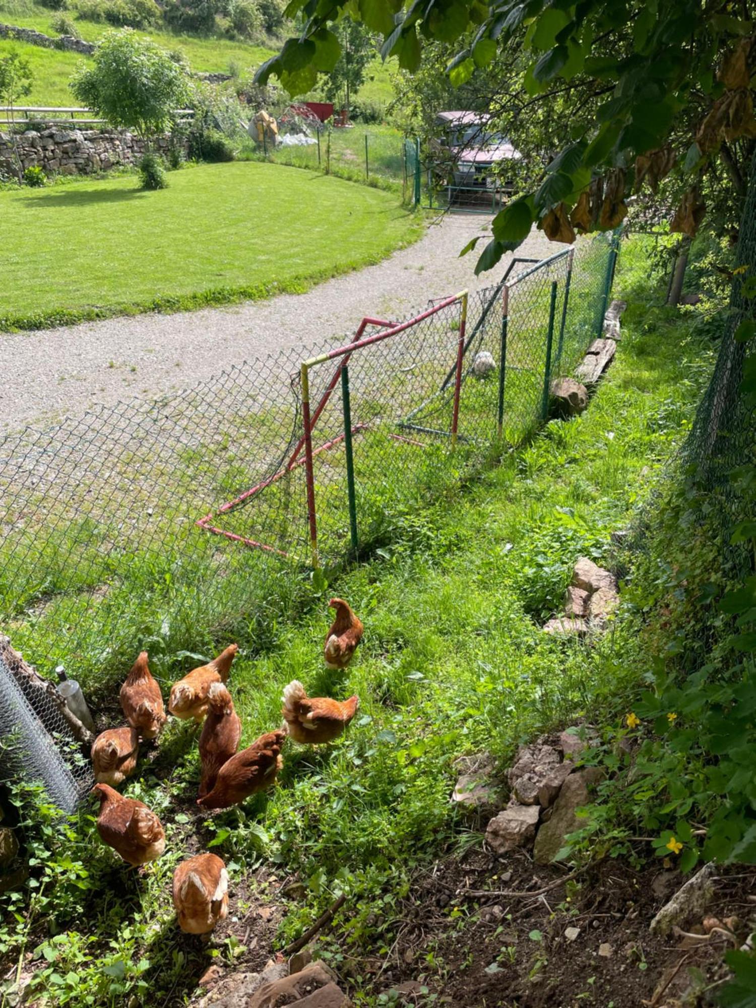 Los Chozos De La Brana Branosera Exterior foto